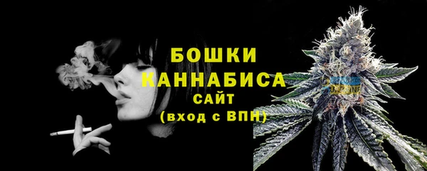 ECSTASY Елизово
