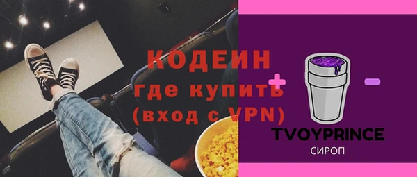 молекула духа Елабуга