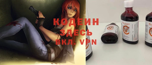 молекула духа Елабуга