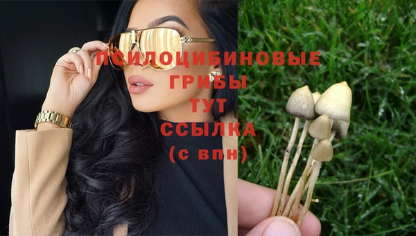 ECSTASY Елизово