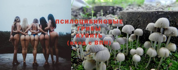 ECSTASY Елизово