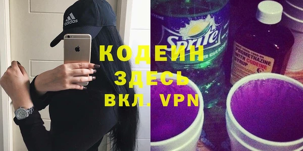 молекула духа Елабуга