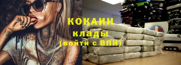 ECSTASY Елизово