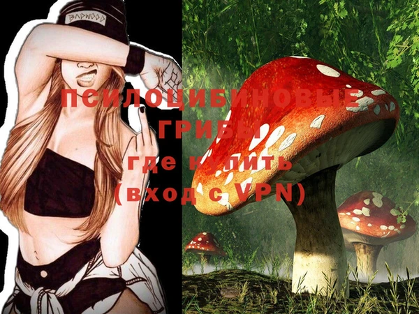 молекула духа Елабуга