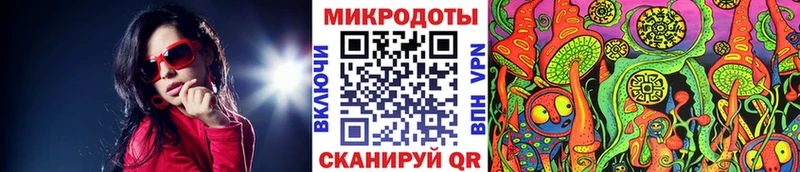 Псилоцибиновые грибы Cubensis  Камбарка 